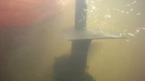 Лодочный электромотор Haswing Protruar 1.0 Работа антивоздушной плиты