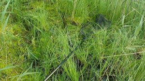 Рыбалка в Карелии.