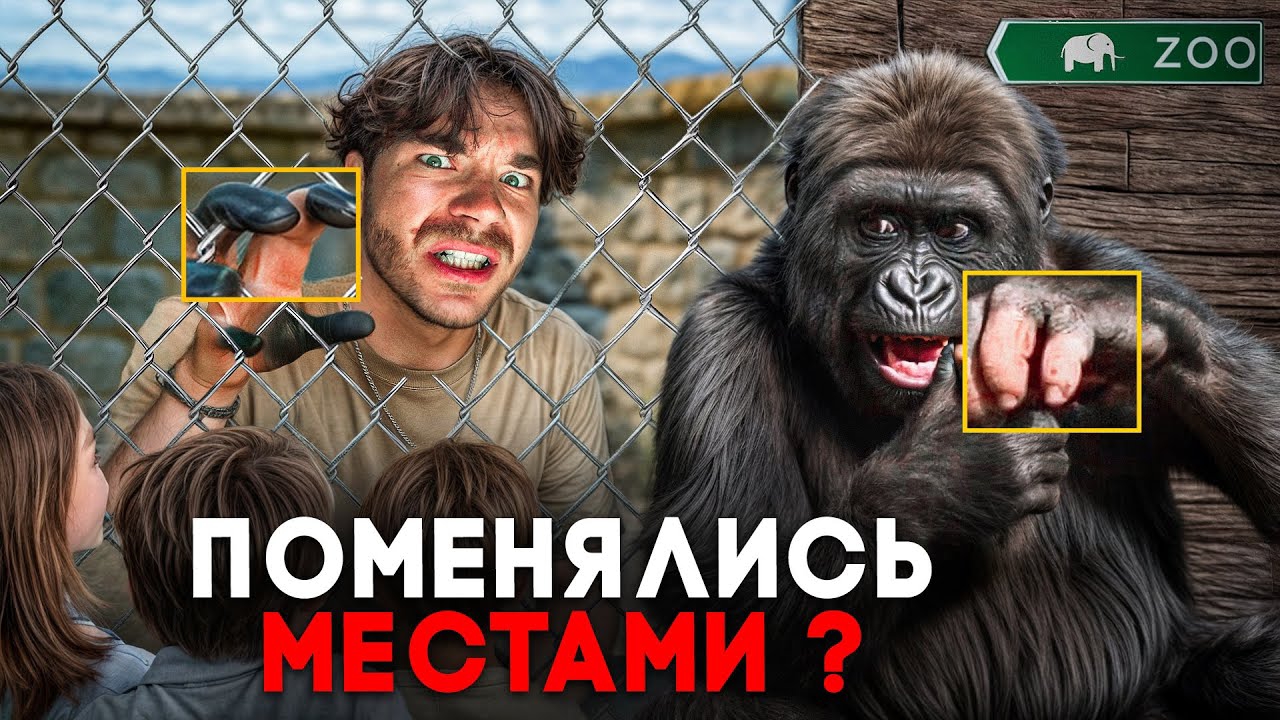 Кто такой ЧЕЛОВЕК? | Нормально ли есть ЖИВОТНЫХ? | Тот, кто будет нами управлять | РазМИШления