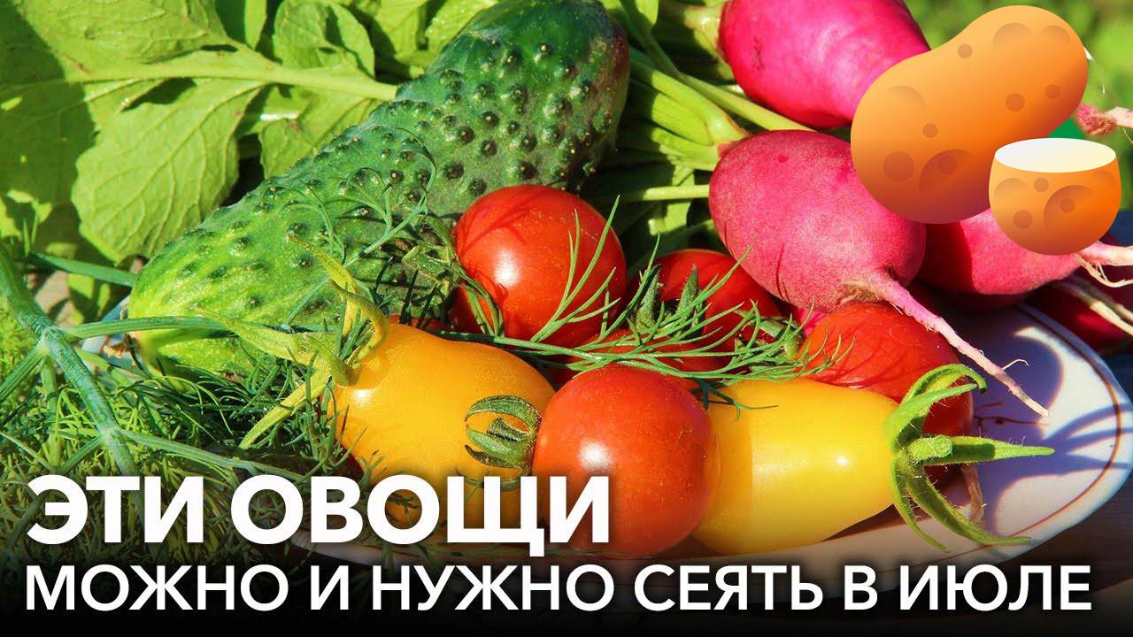 Что можно посадить в июле и собрать урожай смотреть онлайн