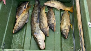 "ПАПА, ВОТ ТЕПЕРЬ У  НАС ТОЧНО ПЕРЕЛОВ!" ПОЕХАЛИ ТУДА, ГДЕ ОЧЕНЬ МНОГО РЫБЫ. САЗАНЫ, СОМЫ Астрахань