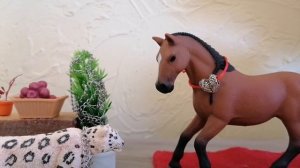 Меня сплагиатили?! Обращение к каналу Pro лошади. 😡