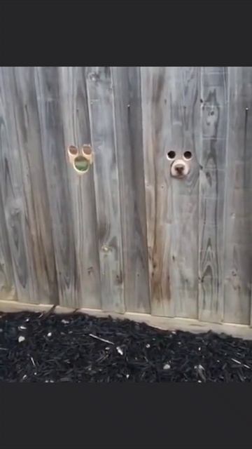 Охрана на месте смотреть онлайн