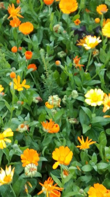 С добрым утром.