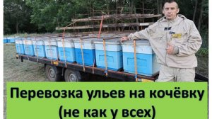 Перевозка ульев на кочёвку (не как у всех😀)