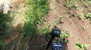 Магнитометр MAGNEX и Vallon, какой выбрать для поиска археологии и войне?