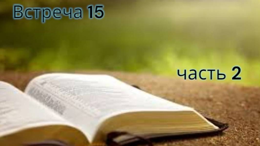 31. ВШБ, 1 П, 15-2