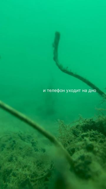 Клешня судьбы: iPhone 13 и его 5 часов в подводном шоу смотреть онлайн