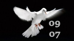 09.07.2025 - Прямая трансляция ст.Елизаветинская