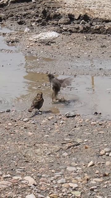 #сезонконтентаRUTUBE