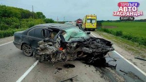 Июльнутые Торопыги! ДТП