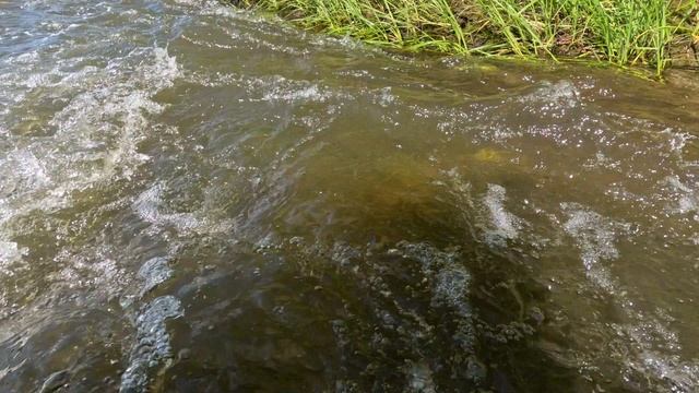 Сплав на сапе с папой 2025// Шаманка-Пионерск VLOG смотреть онлайн