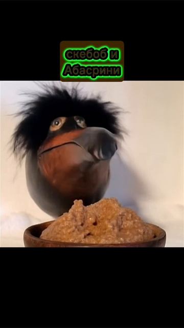 Скебоб и Абасрини