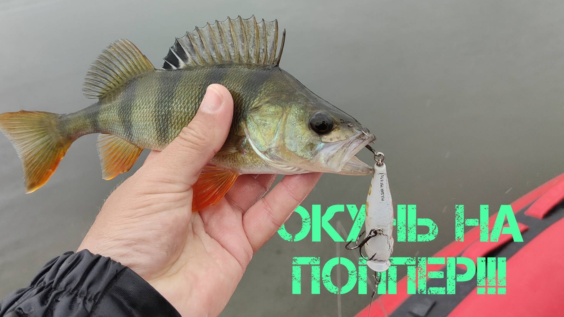 ОКУНЬ НА ПОППЕР!!! СЕКРЕТЫ ПОВЕРХНОСТНОЙ ЛОВЛИ И ЛУЧШИЕ МЕСТА смотреть онлайн