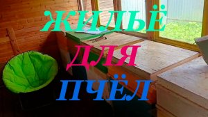 Устройство стационарного павильона для пчёл