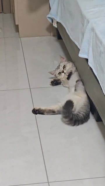 Привет-пока смотреть онлайн