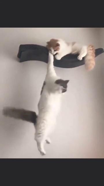 Останется только один смотреть онлайн