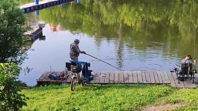 Линек смотреть онлайн