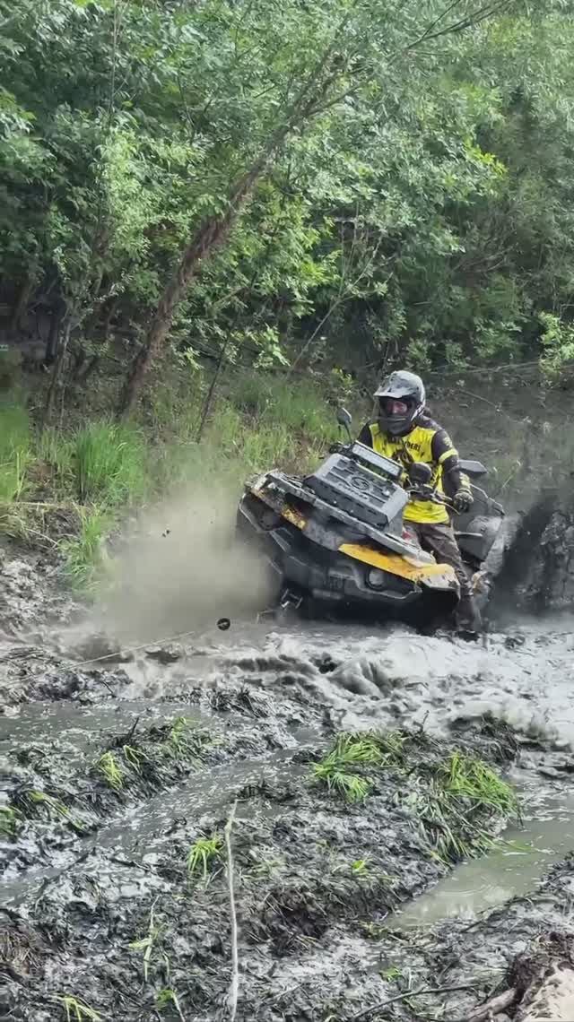 Как правильно ловить гепарда ☝🏼🚜👌🏼 смотреть онлайн