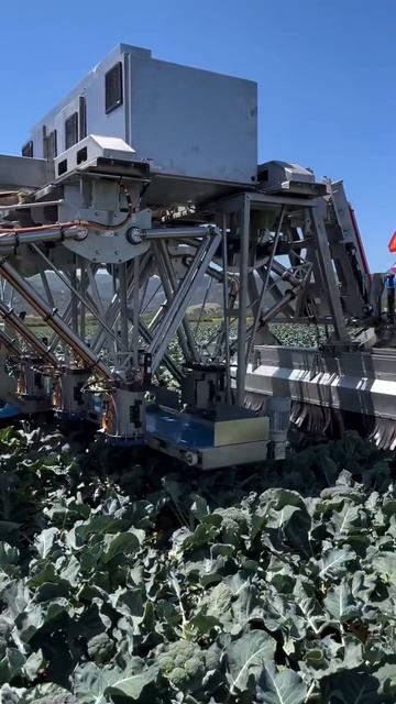 В США создали гигантского агробота, который катается по полям и собирает брокколи. смотреть онлайн