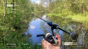 Мормопрогулка по деревенской речке