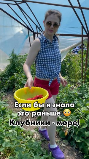 Такой урожай теперь каждый год!