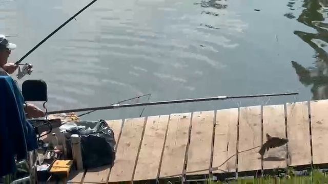 Карпуша смотреть онлайн