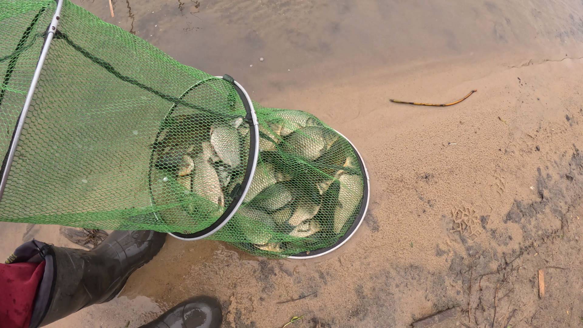 ХЕРАБУНА+КАРАСЬ И РЫБАЛКА УДАЛАСЬ!
СУПЕР КЛЕВ!!!