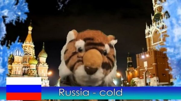 International Weather Report