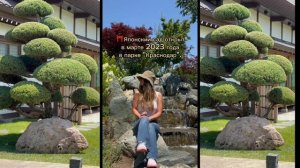 Как 100% попасть в Японский сад в Краснодаре, лайфхак