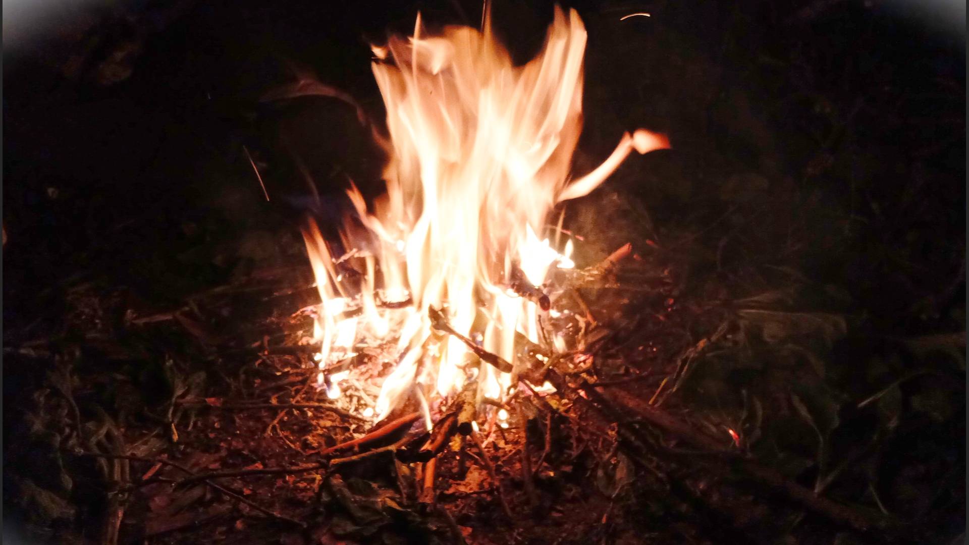 ПЕРВАЯ НЕУДАЧНАЯ РЫБАЛКА С НОЧЕВКОЙ! РЕКА МАЛАЯ КОКШАГА! 24.05.2025 ГОДА #fishing! #рыбалка! смотреть онлайн