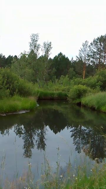 На реке Кая смотреть онлайн