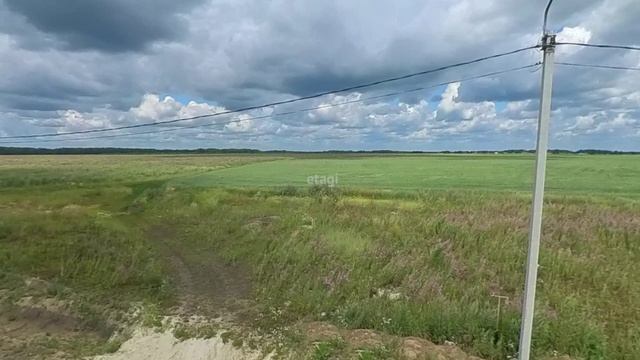 8995774, КП Сказка смотреть онлайн