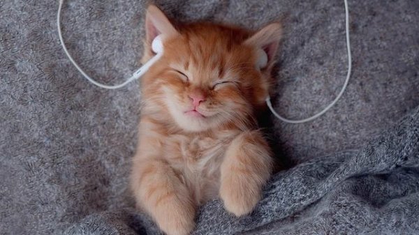 Rise of Revolution - Arasaka - Worldless - Конец? №3 — Worldless