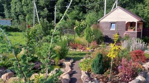 Дачные зарисовки. Зона прудика🌞🦋 #дачныебудни