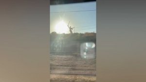 История семьи в истории страны. День Победы 1945 -2025 Victory Day