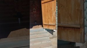 Невероятно! Только в Дивеево😇