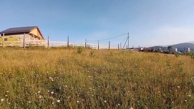 IMG_5319 смотреть онлайн