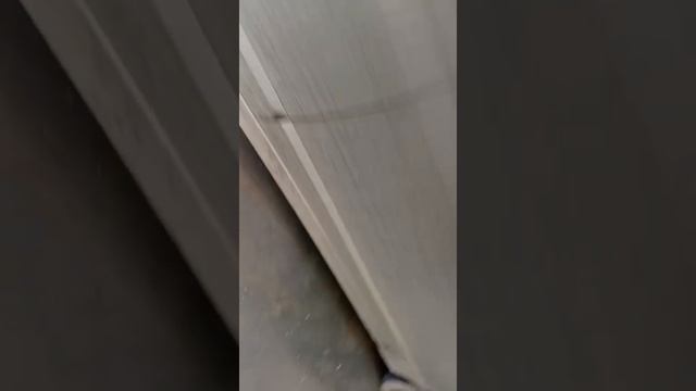 активная пена