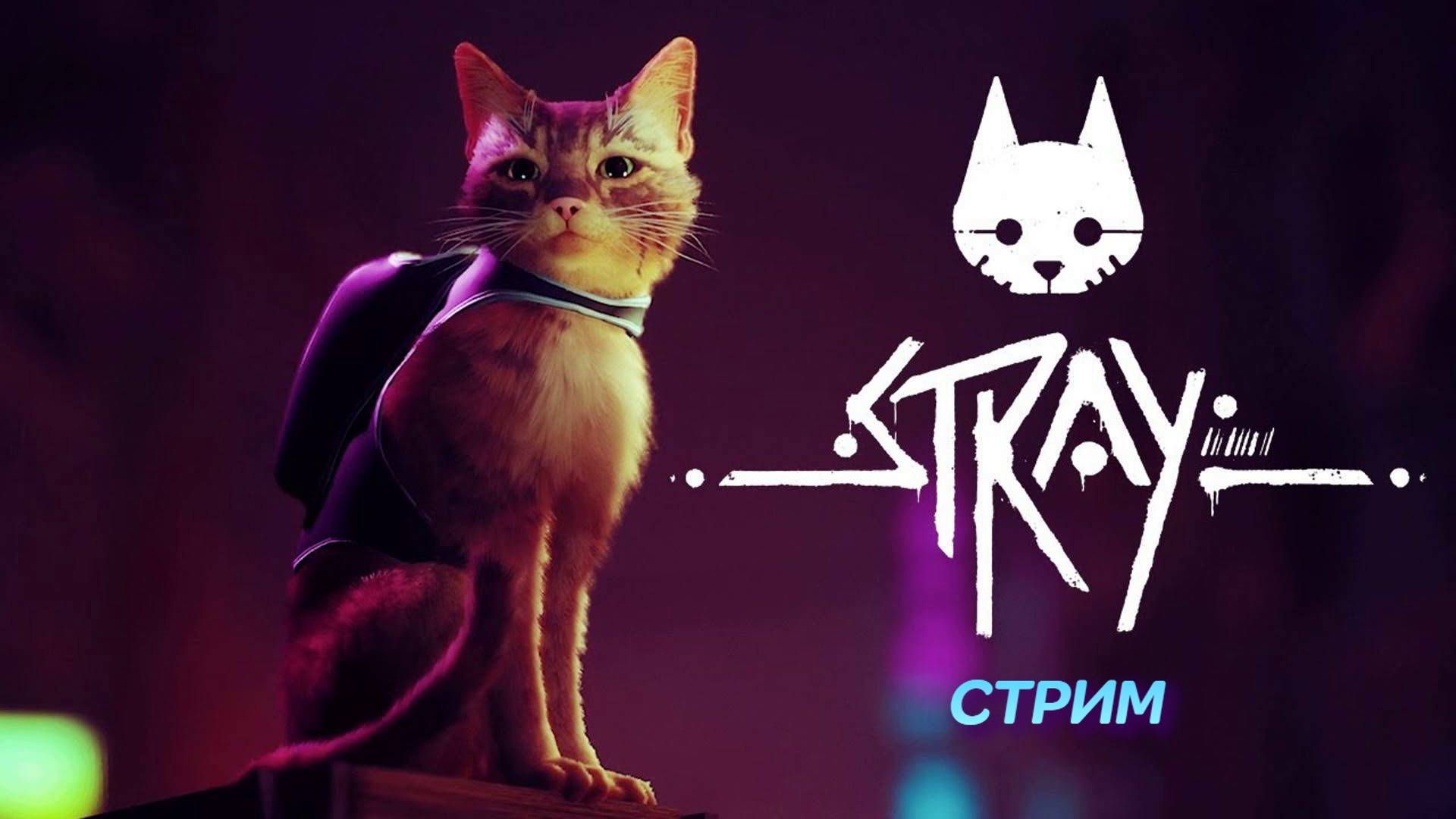 Stray | стрим | PC смотреть онлайн