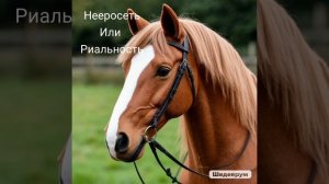 клип лошади нееросеть или реальность