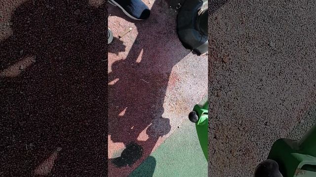 краш тест часть 2 смотреть онлайн