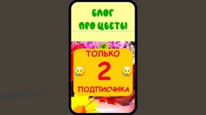 Хомки шоу 9 серия блок про цветы