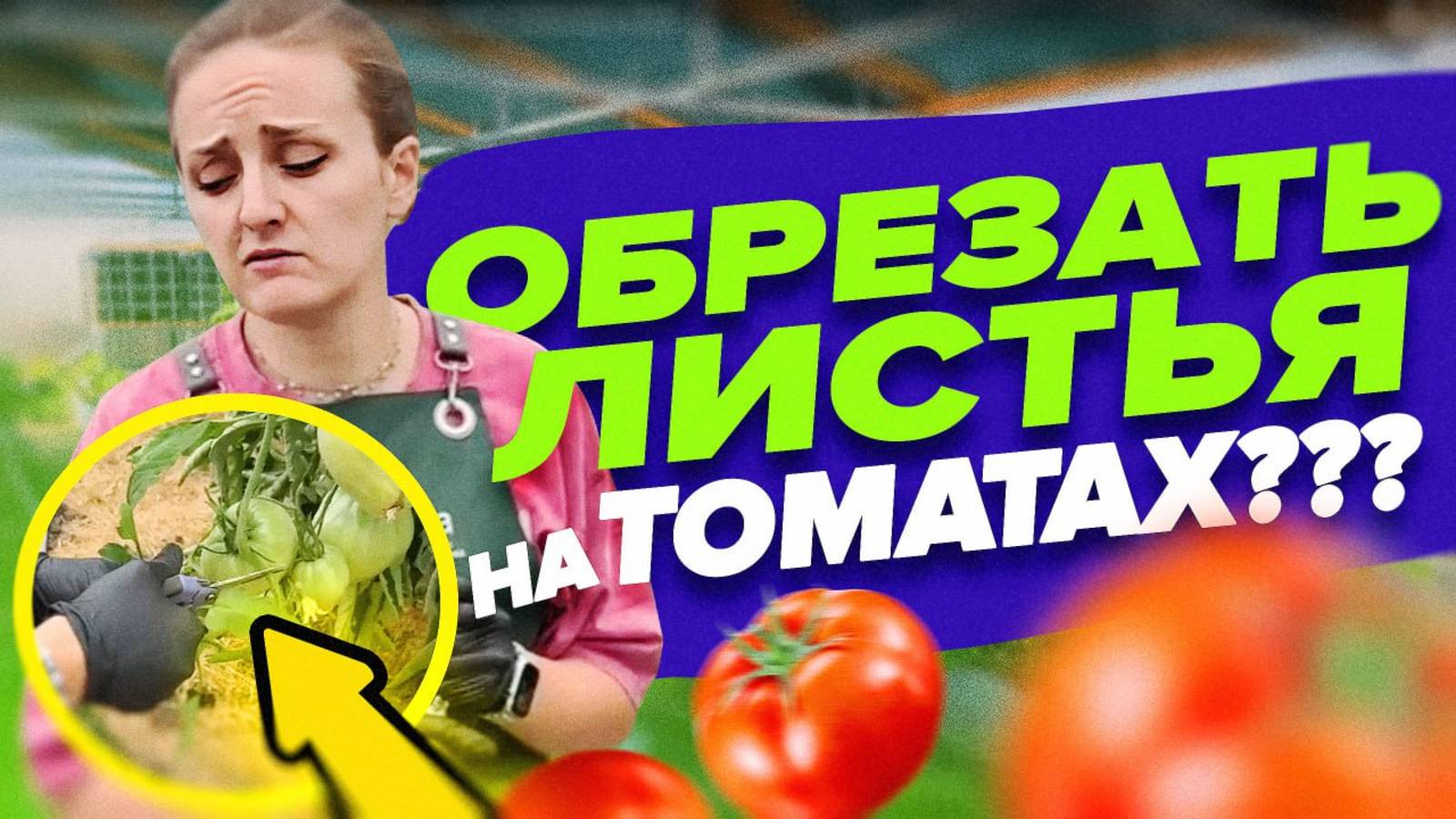 КАКИЕ ЛИСТЬЯ УДАЛЯТЬ НА ТОМАТАХ смотреть онлайн