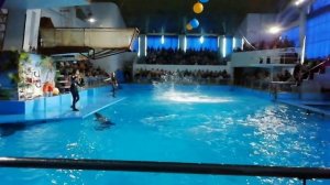 В Дельфинарии. 2023 год.