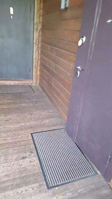 снежный гусь на Байкале , выдрино