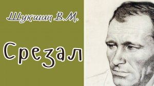 Шукшин В.М. Срезал. Аудиокнига.