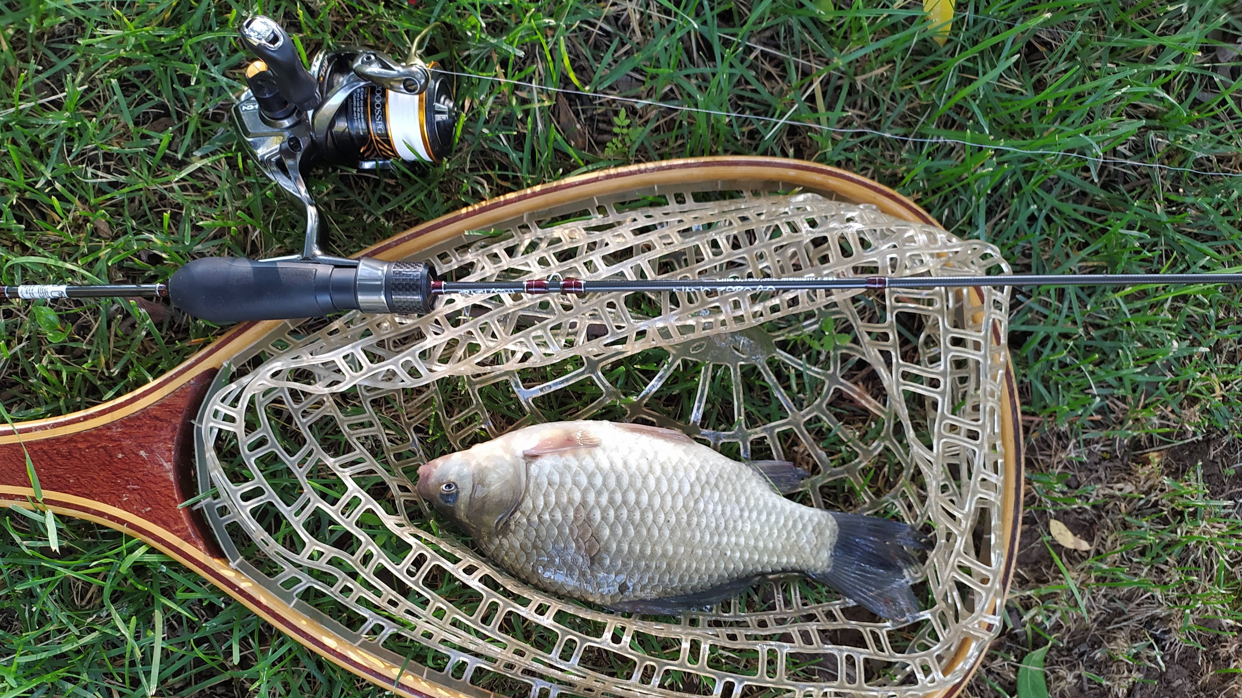 МОРМЫШИНГ. Домашний водоем, вечером 3 июля 2025 года