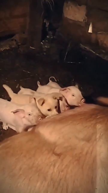 Хитро смотреть онлайн