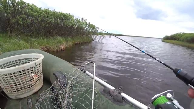 ДУМАЛ ЗАЦЕП!!! НО ОН ОЖИЛ!! РЫБАЛКА С НОЧЁВКОЙ В ТУНДРЕ!!ЛЕТНЯЯ РЫБАЛКА 2025 смотреть онлайн